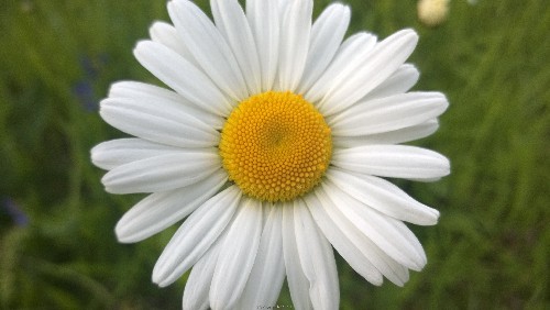 WP_20140517_029.jpg
