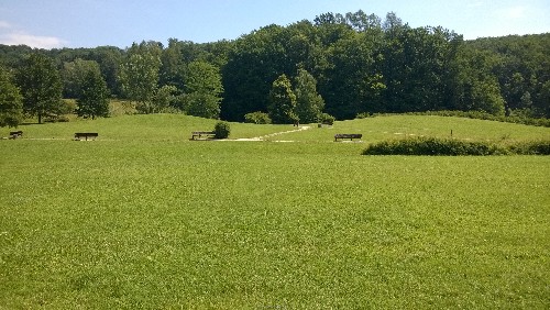 WP_20140618_031.jpg