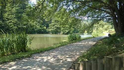 WP_20140618_038.jpg