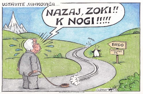 zoki.jpg
